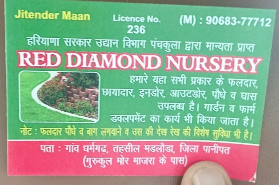 Red Diamond Nursery Banner